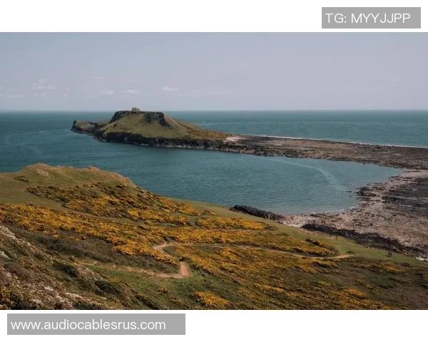探索斯旺西的魅力：海滨城市的文化遗产与自然风光之旅