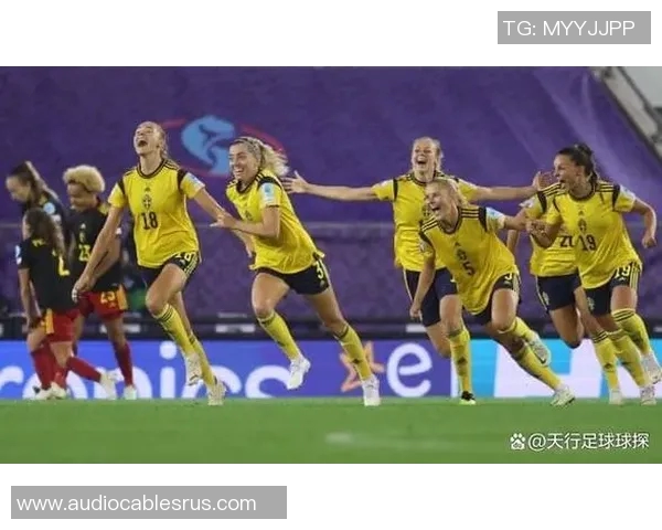 荷兰女足与瑞典女足对决前瞻分析及胜负预测